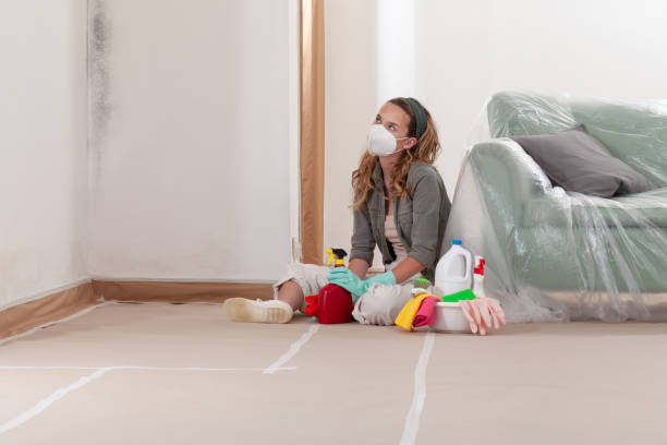 Reliable Mold Testing contractor in Saint Augustine, FL by WQB Mold Removal